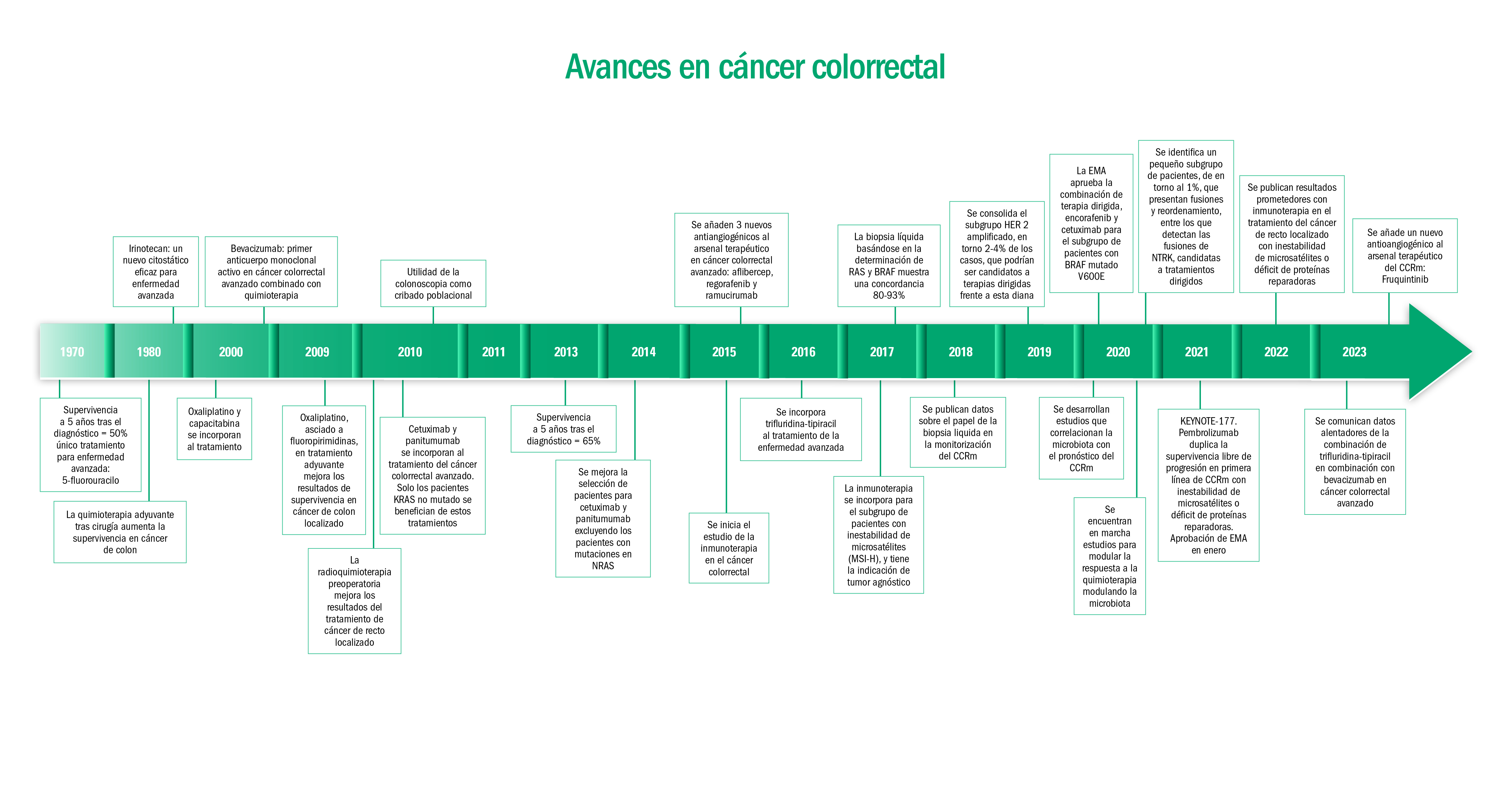 E_GRAFICO_CANCER_COLORRECTAL_2024.jpg