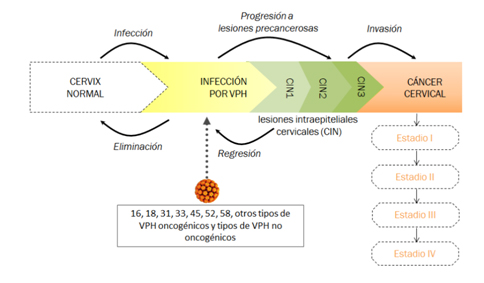 factores riesgo cervix